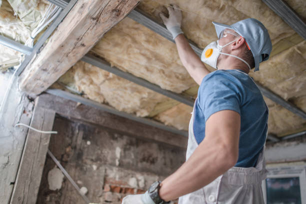 Best Insulation Installation Services in Lima, PA