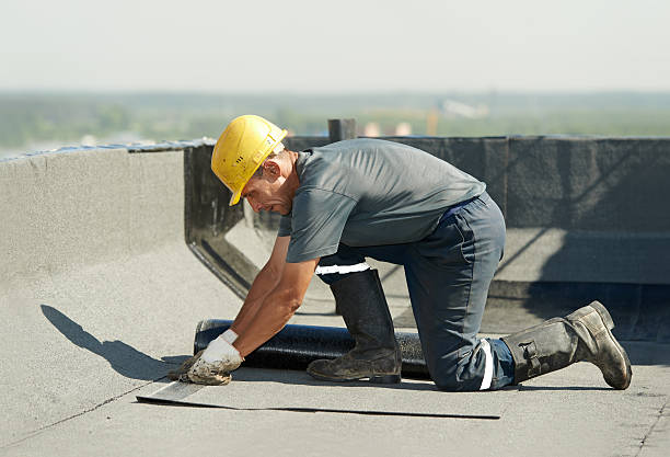 Best Specialty Insulation in Lima, PA